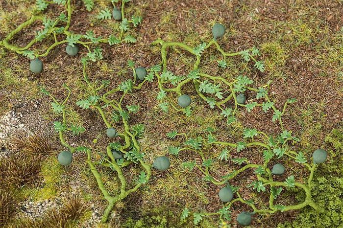 Faller 181266 6 vandmelonplanter. ca 8 mm høje. H0 NYHED 2019