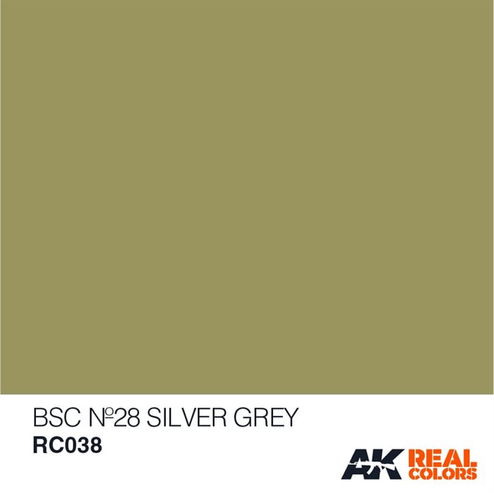 AKRC038 BSC Nº28 SILVER GREY, 10 ML